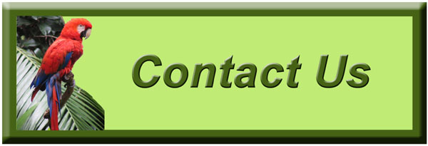 Costa Rica Real Estate-Homes-Condos-Retirement